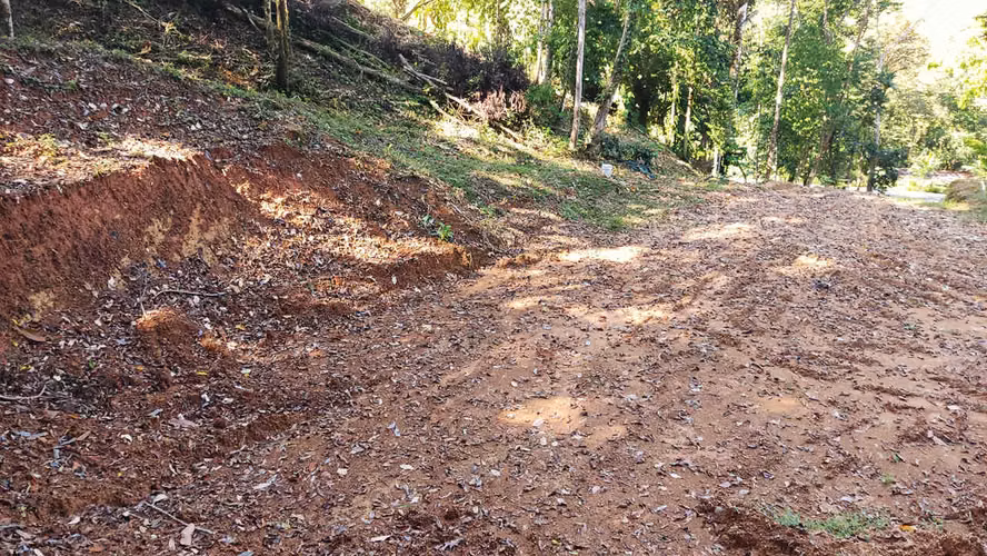 PRIME LOTS FOR SALE IN PUNTA UVITA ( BAHIA BALLENA)