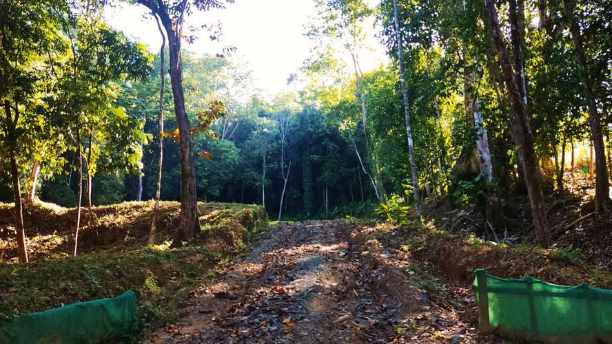 PRIME LOTS FOR SALE IN PUNTA UVITA ( BAHIA BALLENA)
