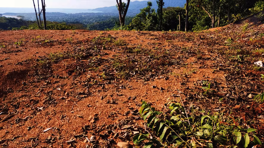PRIME LOTS FOR SALE IN PUNTA UVITA ( BAHIA BALLENA)