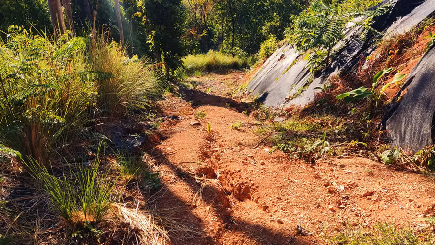 PRIME LOTS FOR SALE IN PUNTA UVITA ( BAHIA BALLENA)
