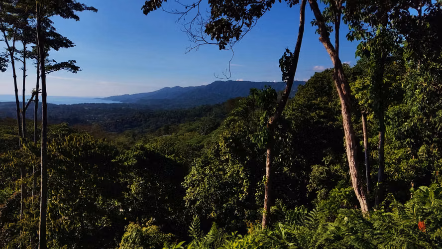 PRIME LOTS FOR SALE IN PUNTA UVITA ( BAHIA BALLENA)