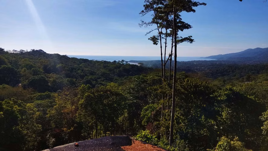 PRIME LOTS FOR SALE IN PUNTA UVITA ( BAHIA BALLENA)