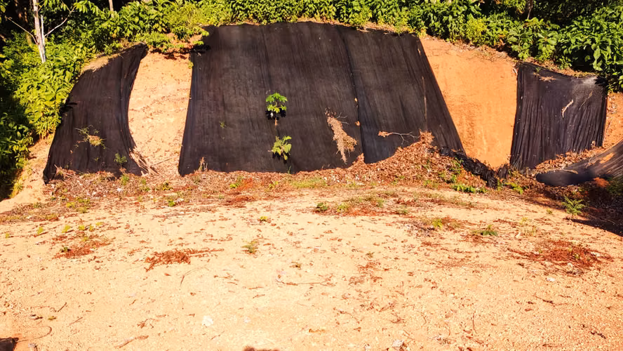 PRIME LOTS FOR SALE IN PUNTA UVITA ( BAHIA BALLENA)