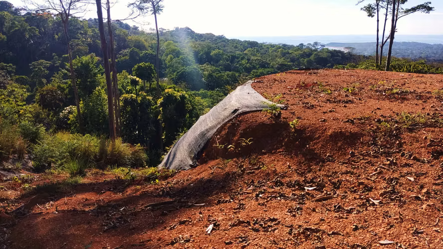 PRIME LOTS FOR SALE IN PUNTA UVITA ( BAHIA BALLENA)