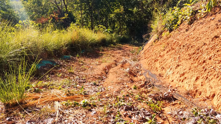 PRIME LOTS FOR SALE IN PUNTA UVITA ( BAHIA BALLENA)