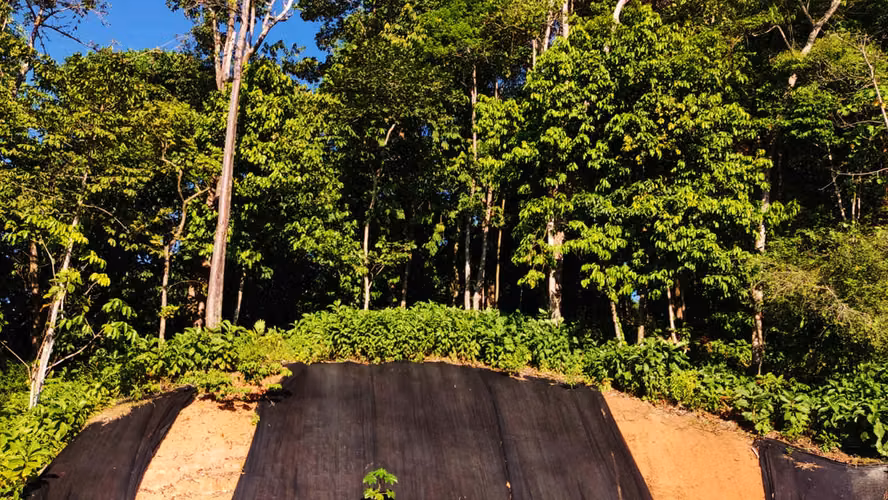 PRIME LOTS FOR SALE IN PUNTA UVITA ( BAHIA BALLENA)