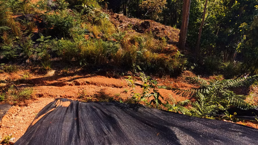 PRIME LOTS FOR SALE IN PUNTA UVITA ( BAHIA BALLENA)