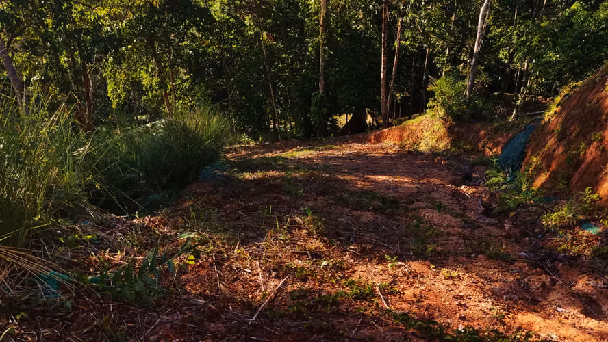 PRIME LOTS FOR SALE IN PUNTA UVITA ( BAHIA BALLENA)