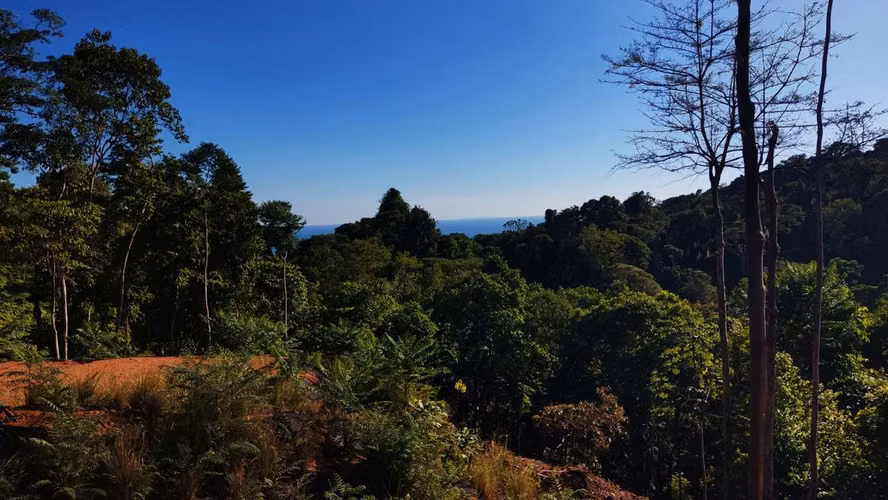 PRIME LOTS FOR SALE IN PUNTA UVITA ( BAHIA BALLENA)