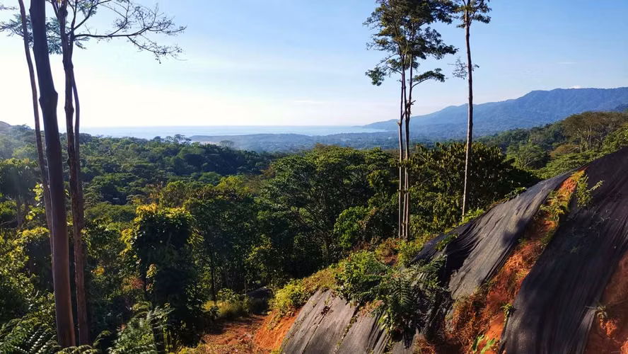 PRIME LOTS FOR SALE IN PUNTA UVITA ( BAHIA BALLENA)
