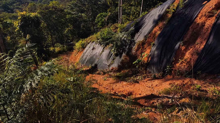 PRIME LOTS FOR SALE IN PUNTA UVITA ( BAHIA BALLENA)