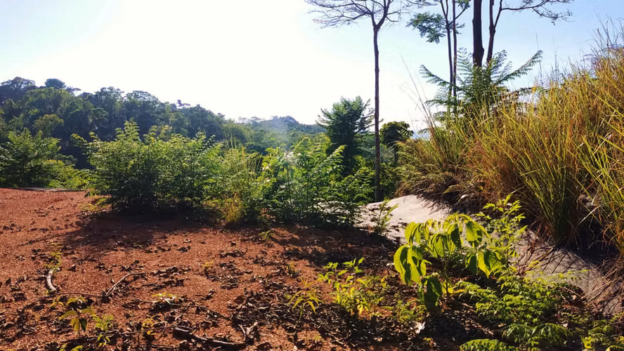 PRIME LOTS FOR SALE IN PUNTA UVITA ( BAHIA BALLENA)