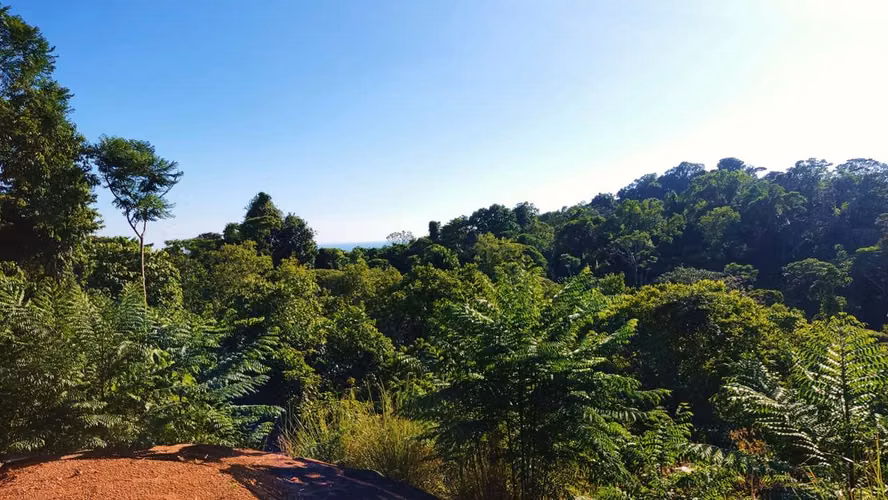 PRIME LOTS FOR SALE IN PUNTA UVITA ( BAHIA BALLENA)