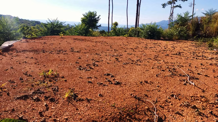 PRIME LOTS FOR SALE IN PUNTA UVITA ( BAHIA BALLENA)