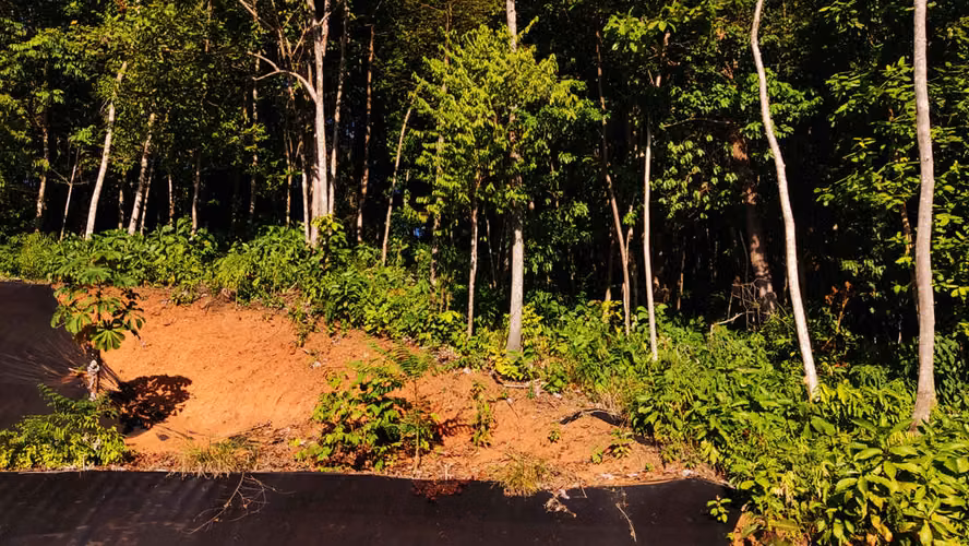 PRIME LOTS FOR SALE IN PUNTA UVITA ( BAHIA BALLENA)