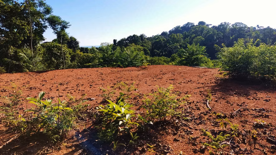 PRIME LOTS FOR SALE IN PUNTA UVITA ( BAHIA BALLENA)