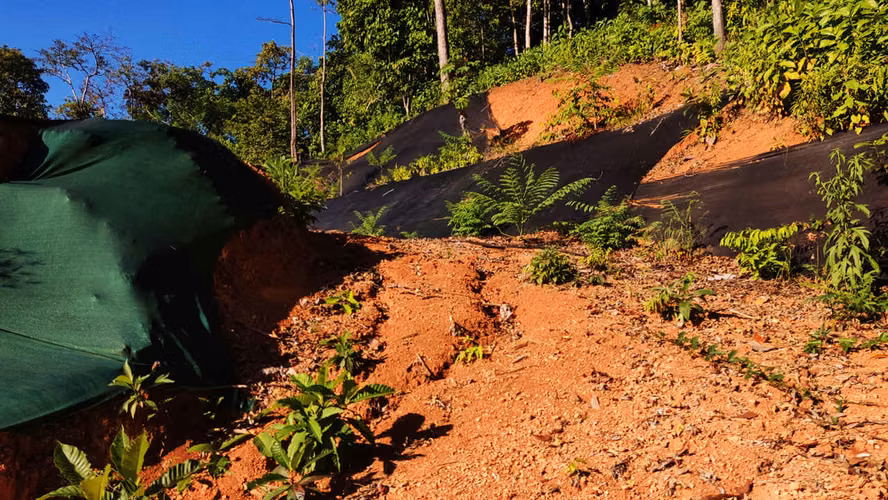 PRIME LOTS FOR SALE IN PUNTA UVITA ( BAHIA BALLENA)
