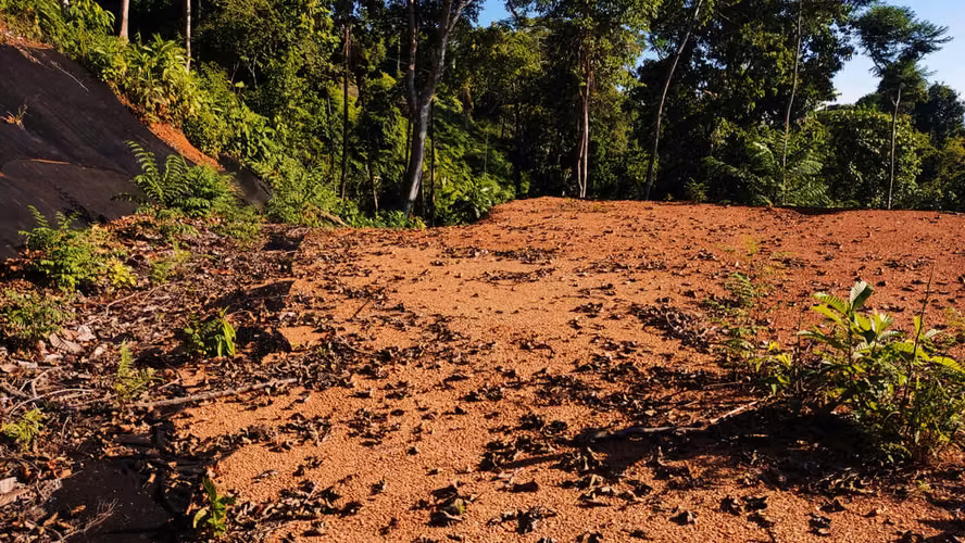 PRIME LOTS FOR SALE IN PUNTA UVITA ( BAHIA BALLENA)