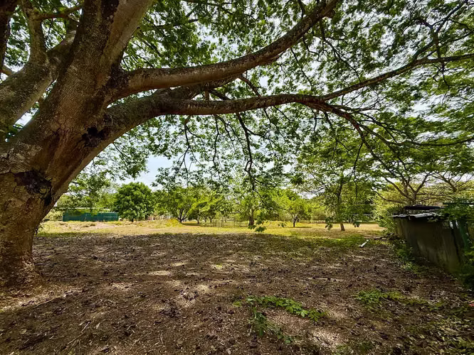 Se vende Terreno con Uso de Media Densidad, Brasil de Santa Ana