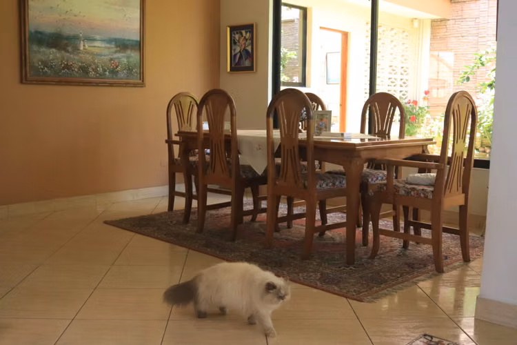 Casa en venta en Guadalupe 23856