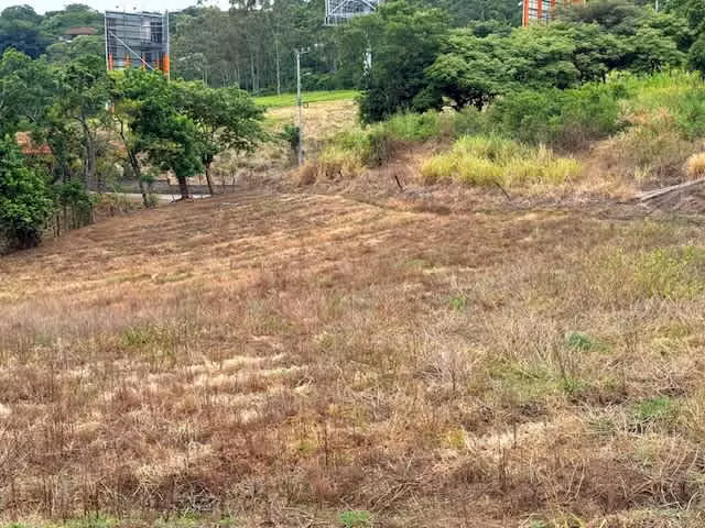 Land for Sale – Ready to Develop in Santa Ana - Imagen 14