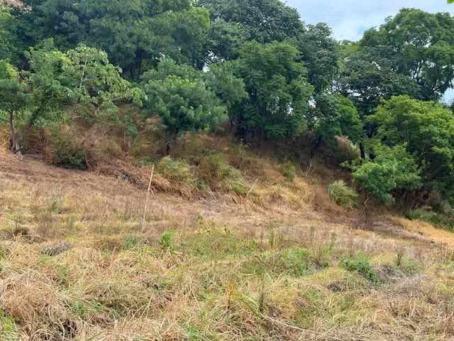 Land for Sale – Ready to Develop in Santa Ana - Imagen 12