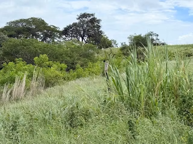 Land for Sale – Ready to Develop in Santa Ana - Imagen 4