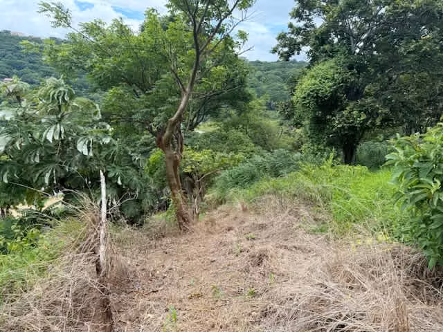 Land for Sale – Ready to Develop in Santa Ana - Imagen 6