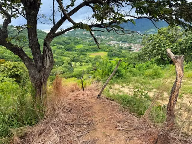 Land for Sale – Ready to Develop in Santa Ana - Imagen 8