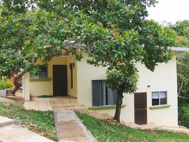 Propiedad en San Mateo de Alajuela, con tres casas y dos piscinas.