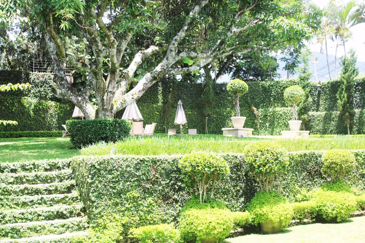 ALQUILER¡¡¡ESCAZU  CASA DE LUJO UBICACION ESTRATEGICA UNA JOYA ARQUITECTONICA
