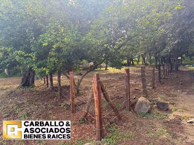 Oportunidad en Tamarindo – Lote de 2000 m² en El Llanito