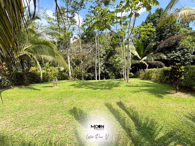 VENDIDO! - Imagen 8