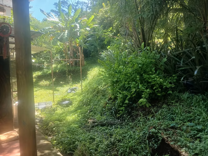 SE VENDE TERRENO EN SAN JOSE DE PINILLA