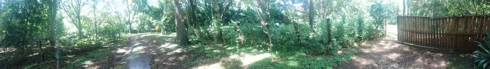 SE VENDE TERRENO EN SAN JOSE DE PINILLA
