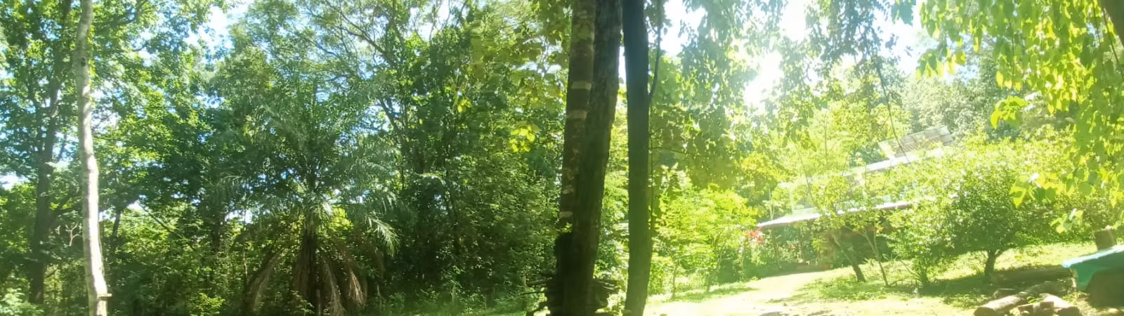 SE VENDE TERRENO EN SAN JOSE DE PINILLA
