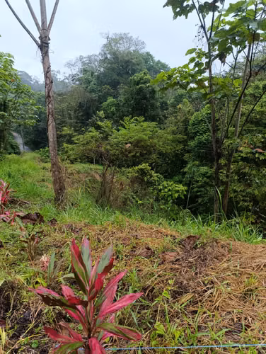 Limón Punta Uva,  venta terreno cerca de la playa.