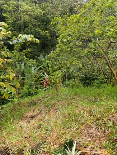 Limón Punta Uva,  venta terreno cerca de la playa.