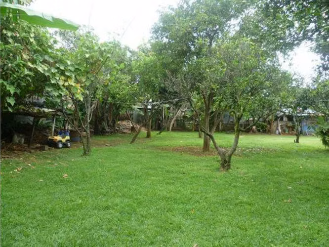 Venta de propiedad comercial industrial San pablo las cruces, sobre carretera principal