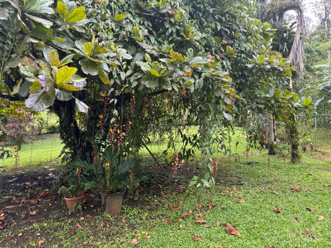 Venta de Casa en Bijagua, Alajuela