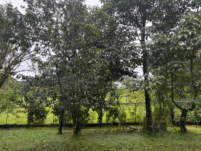Venta de Casa en Bijagua, Alajuela