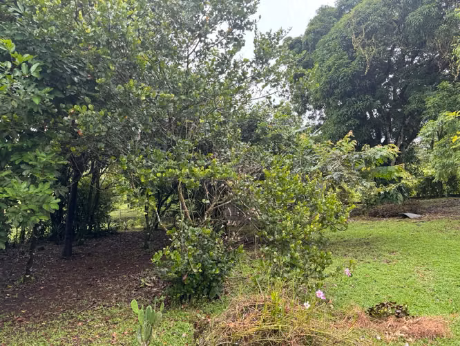 Venta de Casa en Bijagua, Alajuela