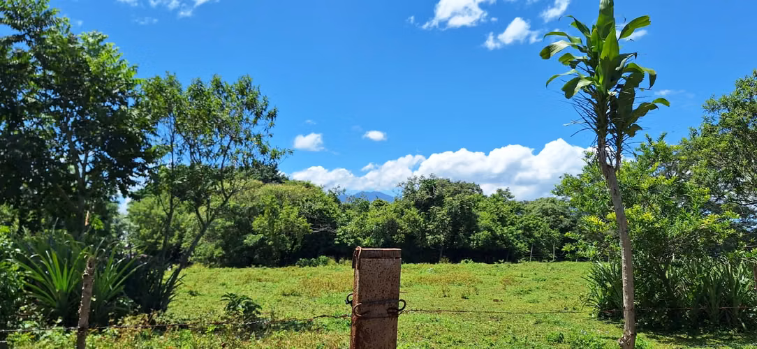 Terreno de 15.000 m² Cerca del Aeropuerto – Alajuela - Imagen 9