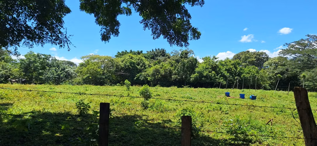 Terreno de 15.000 m² Cerca del Aeropuerto – Alajuela - Imagen 6