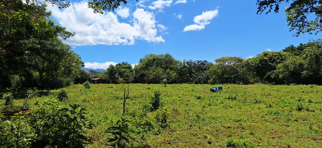 Terreno de 15.000 m² Cerca del Aeropuerto – Alajuela - Imagen 5