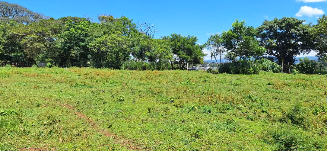 Terreno de 15.000 m² Cerca del Aeropuerto – Alajuela - Imagen 7