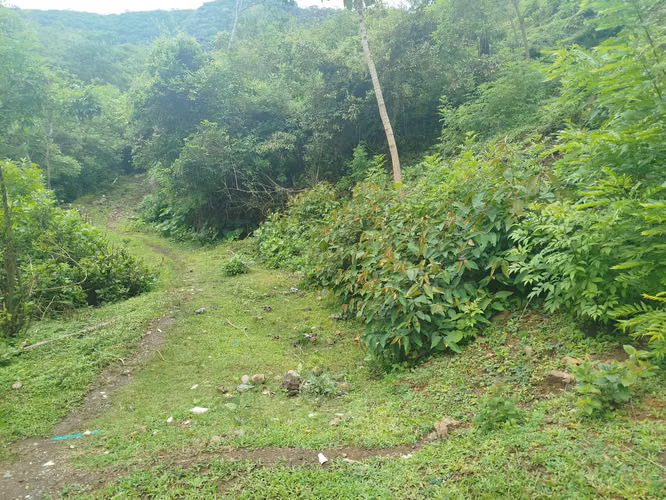Venta de 41.7 Hectáreas en Piedades de Santa Ana - Imagen 2