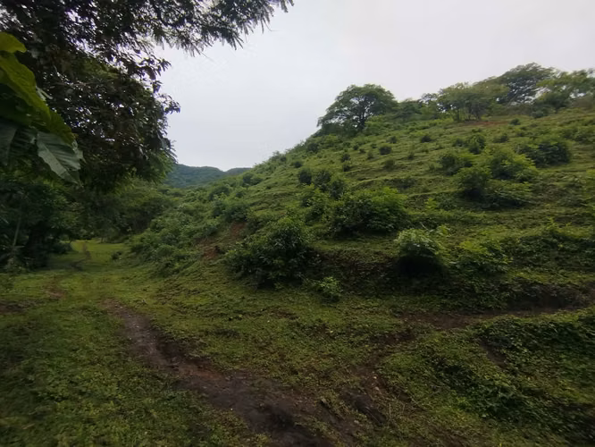 Venta de 41.7 Hectáreas en Piedades de Santa Ana - Imagen 9