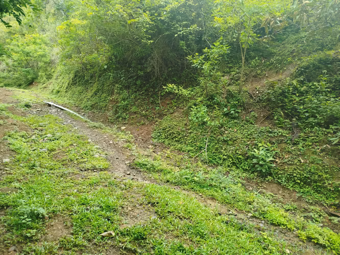 Venta de 41.7 Hectáreas en Piedades de Santa Ana - Imagen 5