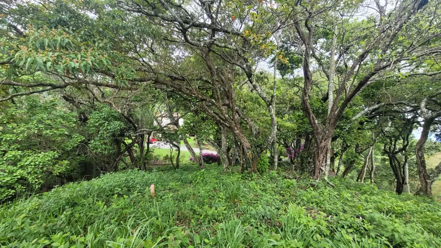 Venta de lote en Piedades de Santa Ana!
